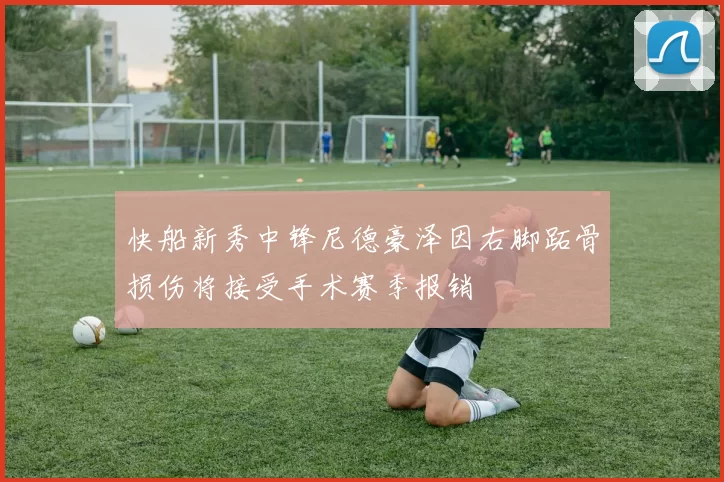 快船新秀中锋尼德豪泽因右脚跖骨损伤将接受手术赛季报销